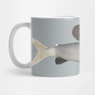 East Siberian Grayling Mug